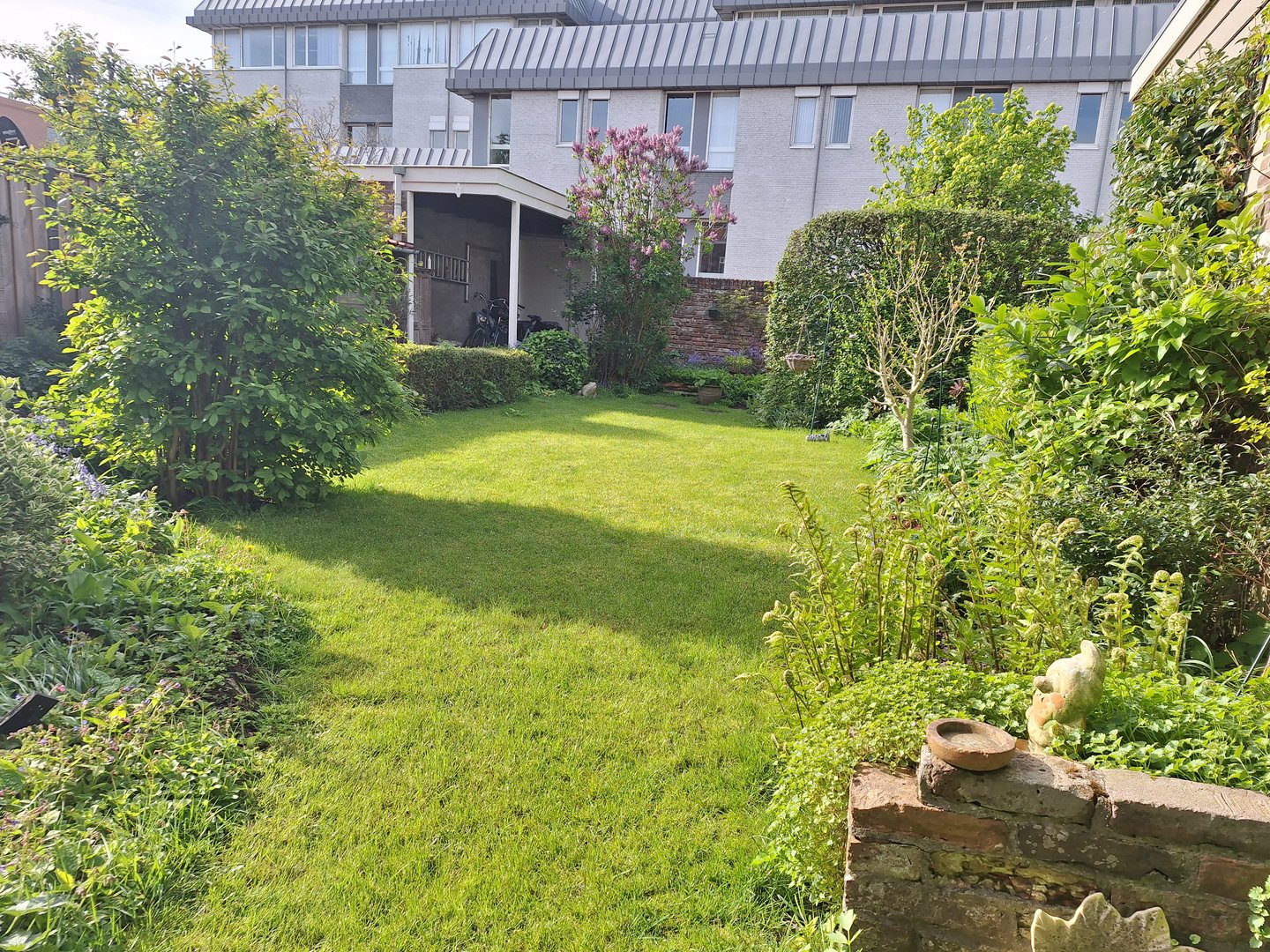 tuin